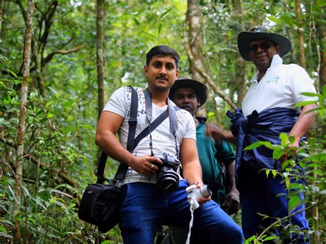 Sinharaja Rain Forest Rain Forest In Sri La