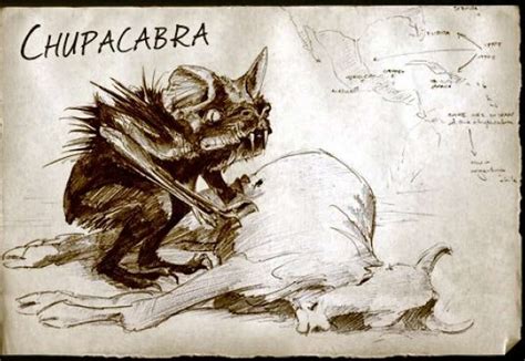 El Chupacabras Tracing Mexico S Most Infamous Monster