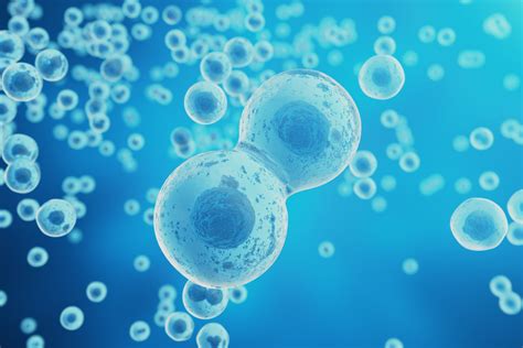 Cell Origins Revealed by Their Membranes – Dare to Know