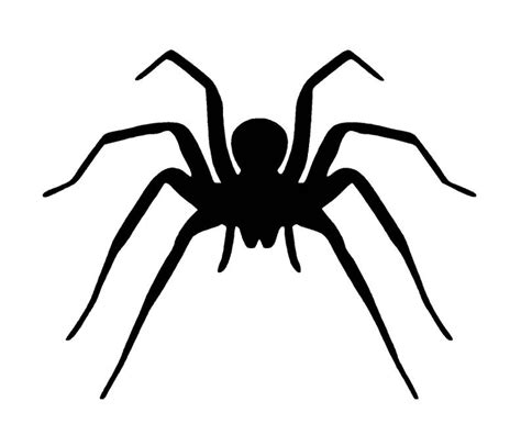 Spider SVG Digital Download Spider Graphic Digital | Etsy