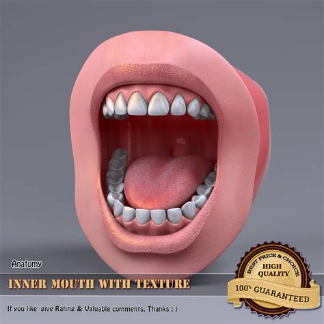Cartoon Mouth 3d Model