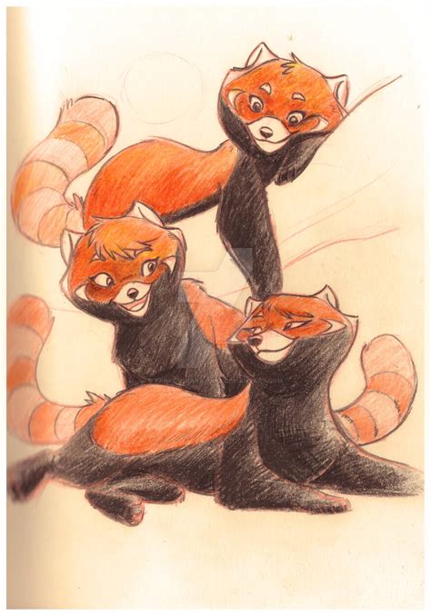 Red Panda Sketch Animal By Yankovskayajulia On Deviantart