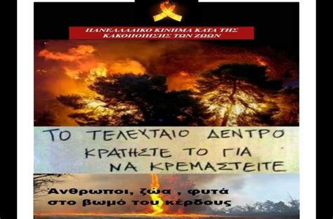 Φωτιά έχει ξεσπάσει στην κερατέα! ΠΕΡΙΒΑΛΛΟΝ - Κακοποίηση ζώων και ακτιβισμός - Η αδέσμευτη ...