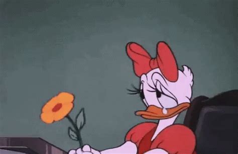 Donald duck music star fu. Pin on sad