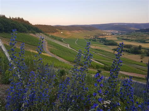 Lifestyle Resort Zum Kurfürsten Auf´s grade Wohl Vier Tage ...