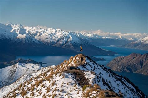 Roys Peak Track Everything You Need To Know To Hike Roys Peak