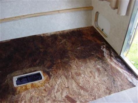 Black mold on or under your carpet. Mold in a Camping Trailer | ThriftyFun