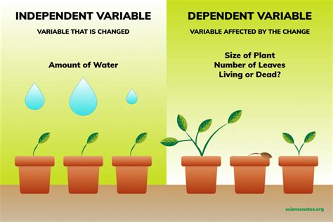 An independent variable is a variable whose value never depends on another variable. Independent and Dependent Variables Examples