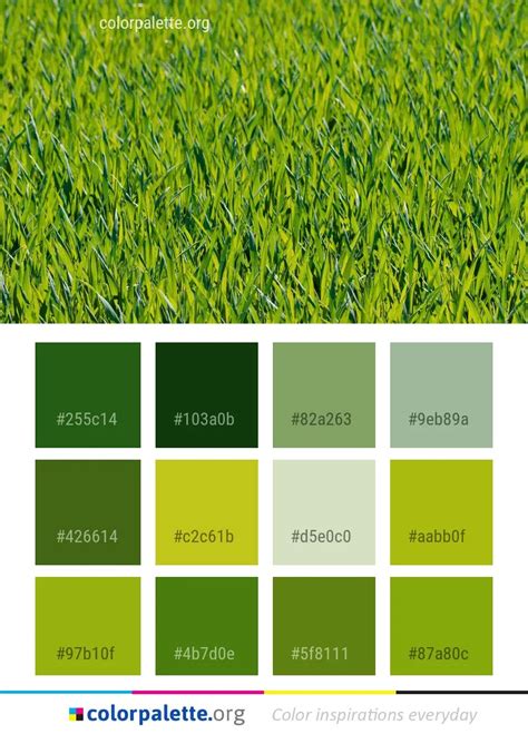 Grass Green Field Color Palette