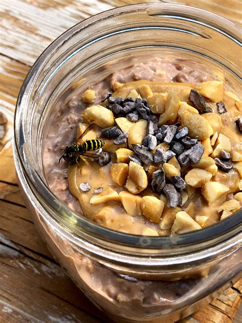 High Protein Chocolate Peanut Butter Overnight Oats Recipe Popsugar