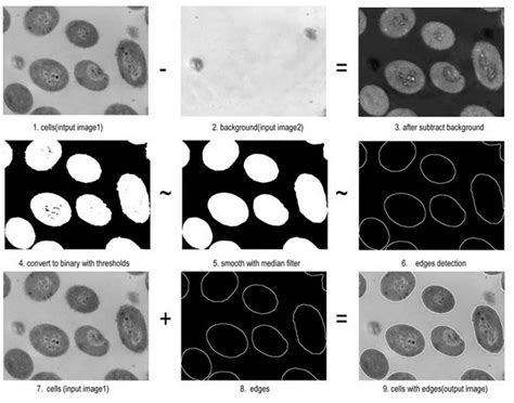 Often zero crossings are found in regions of very low gradient where the intensity gradient wobbles up and down around zero. Help Online - LabTalk Programming - Image Processing