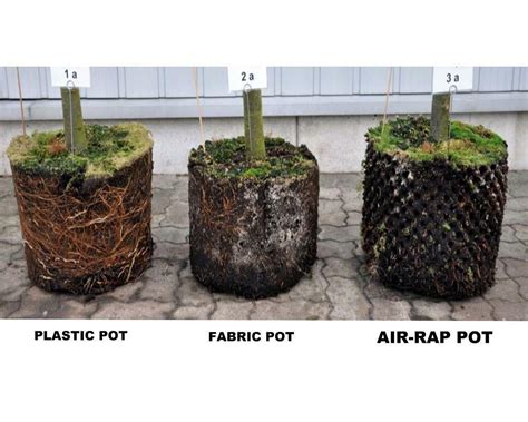Air Pruning Pot Air Rap Pot De 25 Litres Jardin Contenants Et