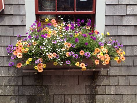5% coupon applied at checkout. Window Box | 植物