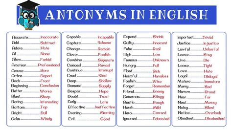 120 Most Common Antonyms In English From A Z Opposite Words List