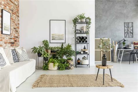 #hashtagdecor latest modern indoor plants ideas. 30 Indoor Plant Decor Ideas | How to Display Your ...