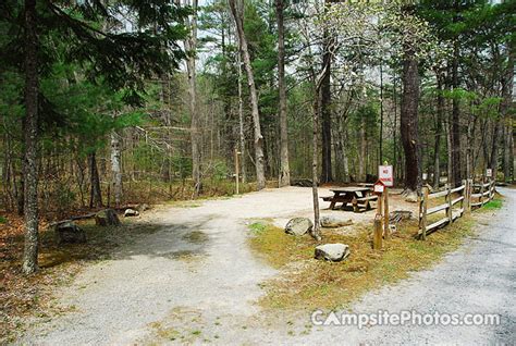 Cave Mountain Lake Campsite Photos Reservations And Camping Info