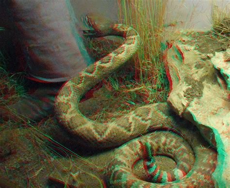 3d Red And Blue Cyan Anaglyph Photos 3d Anaglyph