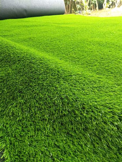 Rumput adalah tumbuhan monokotil dengan ciri daun yang berbentuk sempit mengerucut ke ujung dari dasar dua macam rumput tersebut adalah, rumput yang biasanya digunakan sebagai hiasan dan jenis rumput liar atau untuk pakan hewan ternak. Jual Berbagai Macam Rumput Taman - Tukang Taman Rumah