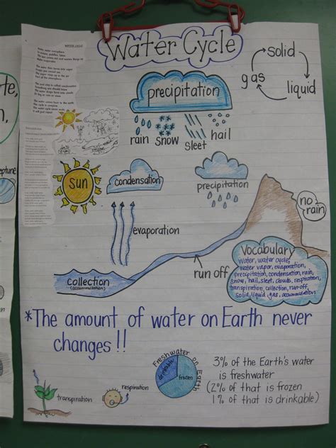 Pin by L M on Science | Science anchor charts, Science chart, Elementary science
