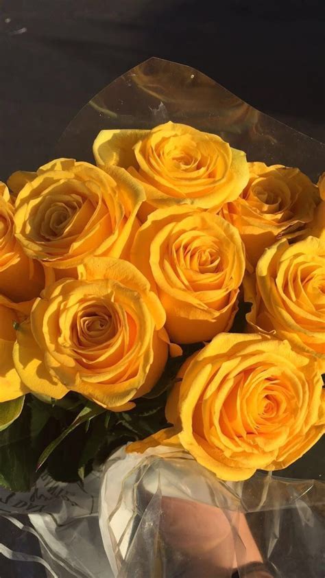 Flowers 🌺 On Twitter Yellow Aesthetic Pastel Yellow Aesthetic