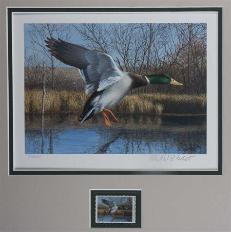 Ducks Unlimited Inc 19th Annual Stamp And Prints By Richard Plasschaert