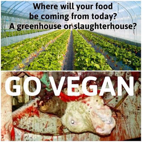 Where Will Your Food Be Coming From Today A Greenhouse Or A