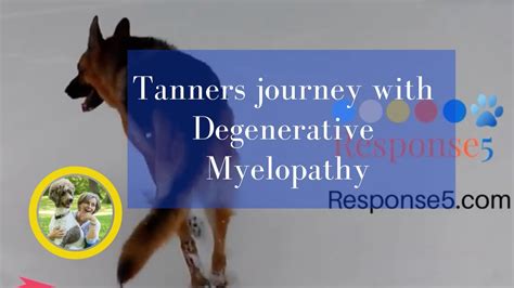 Treatment Physiotherapy For Degenerative Myelopathy In German
