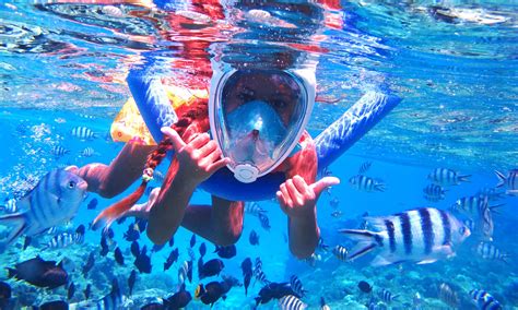 Snorkel Safari With New Mask Things To Do In Bora Bora