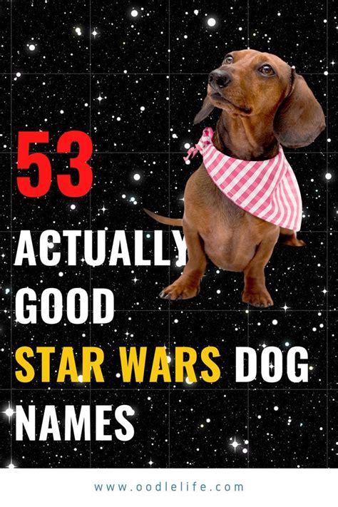 Ultimate List Of 51 Actually Good Star Wars Names For Dogs Oodle Dogs Dog Names Boy Dog