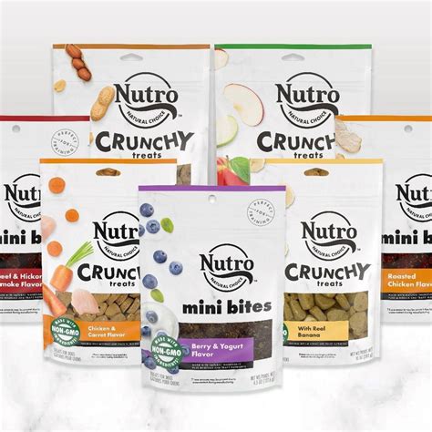 Nutro Crunchy Peanut Butter Dog Treats 10 Oz Shipt