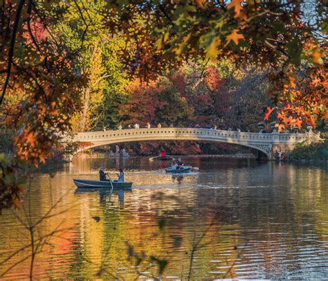 Central Park Bow Bridge Autumn 2 Noel Y Calingasan Nyclovesnyc