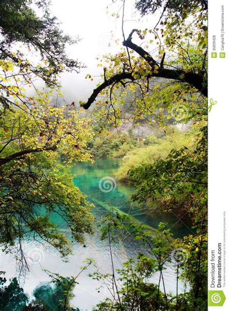 Colorful Lake In Jiuzhai Valley Stock Photo Image Of Fish Swimming