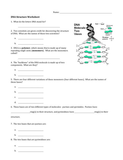 Analysis answer key if you want to read online please fingerprinting key the biology corner, interpreting dna. Worksheet 1 Dna Structure — db-excel.com
