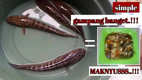 1 sdt tepung kanji (larutkan di air). Maknyusss.!!!! Resep ikan gabus saus tiram hasil mancing - YouTube
