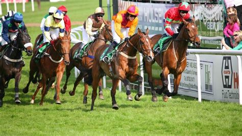 Summer Handicap Preview Tips Runners And Trends Glorious Goodwood