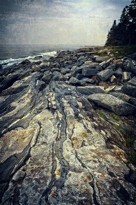 Rocky Maine Coastline Photograph By Joan Carroll Fine Art America