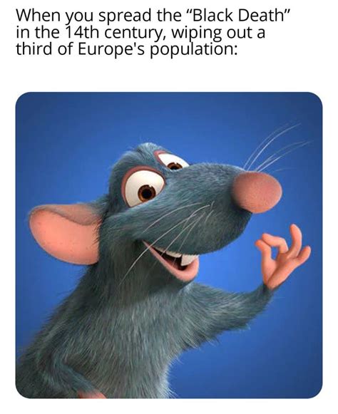 Funniest Ratatouille Memes To Cook Up A Smile Fandomspot