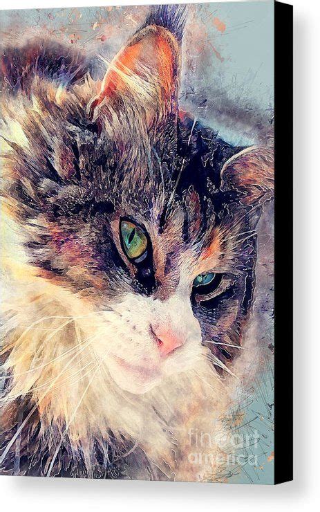 Cat Jasper Canvas Print Canvas Art By Justyna Jaszke Jbjart Canvas