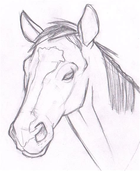 Horse Drawing Easy Head Greatest Thing Logbook Fonction