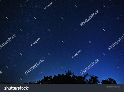 Starlit Night Stars Night Sky Stock Photo 1492857755 Shutterstock