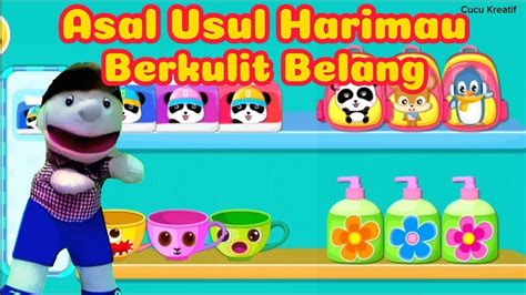 Asal Usul Harimau Berkulit Belang Bersama Bayi Panda Kiki Dan Baby Bus