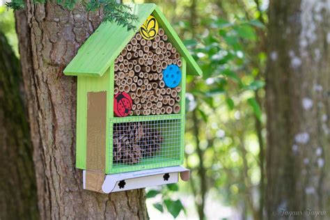 We did not find results for: Bienen ansiedeln 🐝 Bienen schützen 🐝 Bienen erhalten