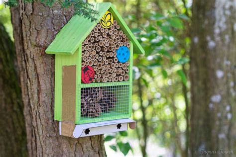 Gerade jetzt im frühling summt und brummt es überall im garten. Bienen ansiedeln 🐝 Bienen schützen 🐝 Bienen erhalten