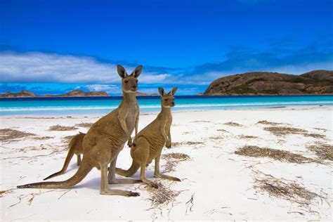 15 Mejores Cosas Para Hacer En Esperance Australia ️todo Sobre Viajes ️