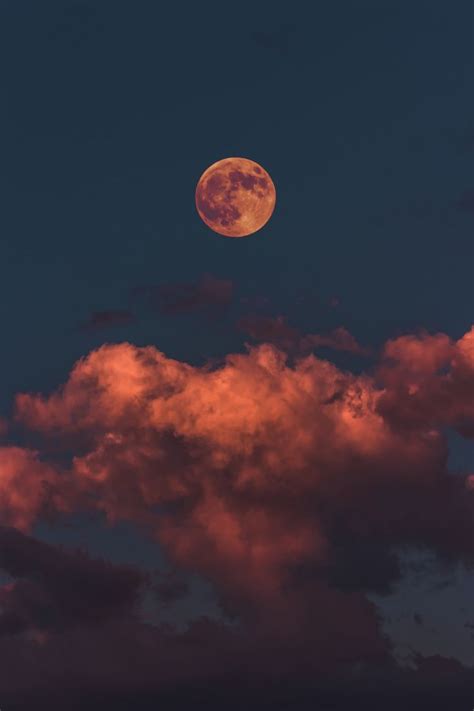 Full Moon Rise In 2020 Sky Aesthetic Aesthetic Backgrounds Moon Images