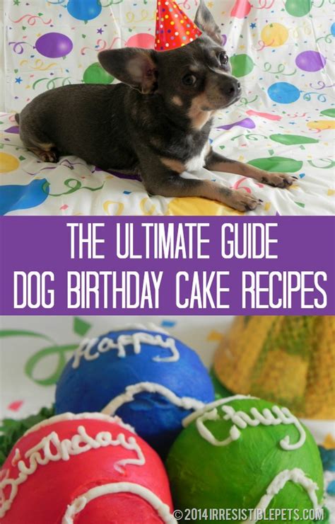 The Ultimate Guide To Dog Birthday Cake Recipes Irresistible Pets
