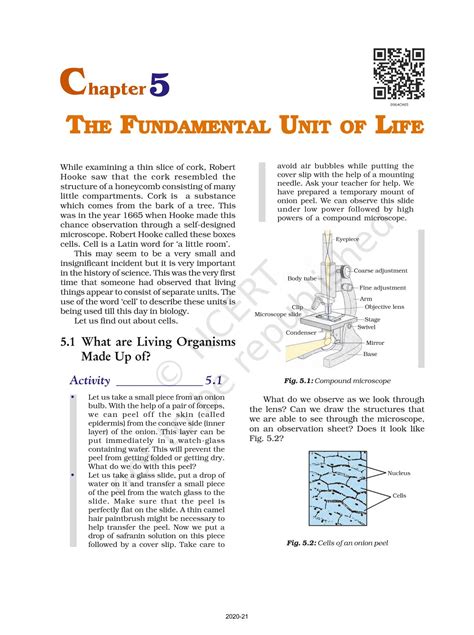 The Fundamental Unit Of Life Ncert Book Of Class 9 Science