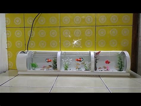 Cara merawat aquarium ikan hias. membuat aquarium ikan cupang&ikan hias part 8/make a betta ...