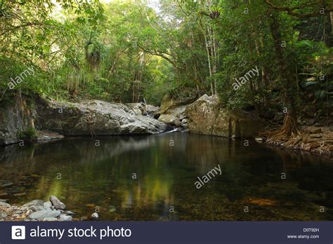 River Creek Forest Brook Hi Res Stock Photography And Images Alamy