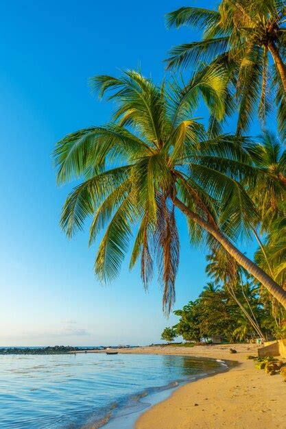 Premium Photo Coastline With Sandy Beach And Palm Trees On A Tropical